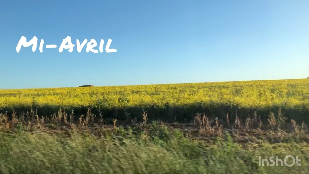Mi-Avril: Vide-greniers, tricotin, et visite surprise
