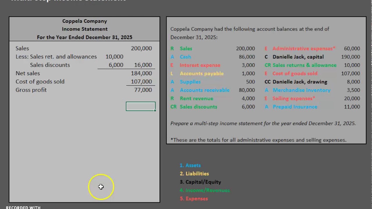 Multi-step Income Statement