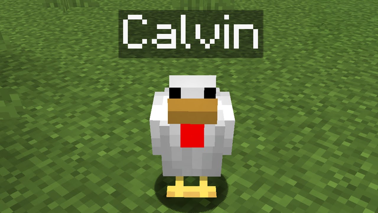 Chicken of the Week