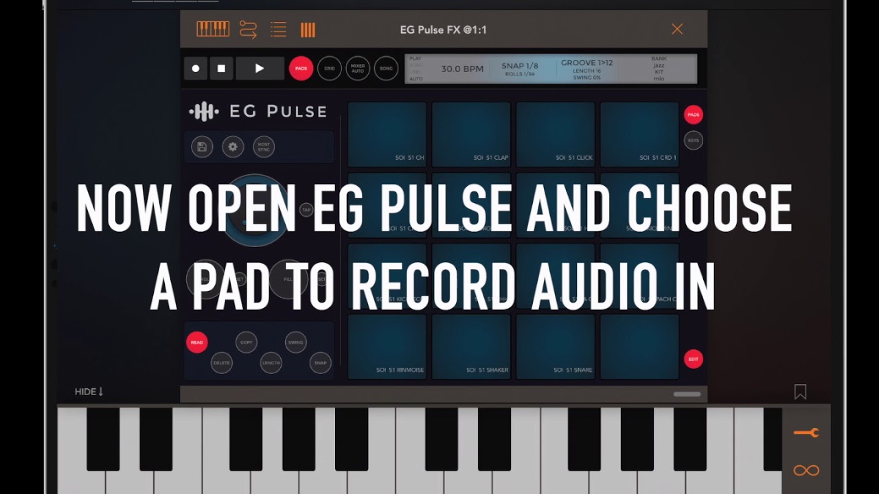 EG Pulse  - Record audio from other apps