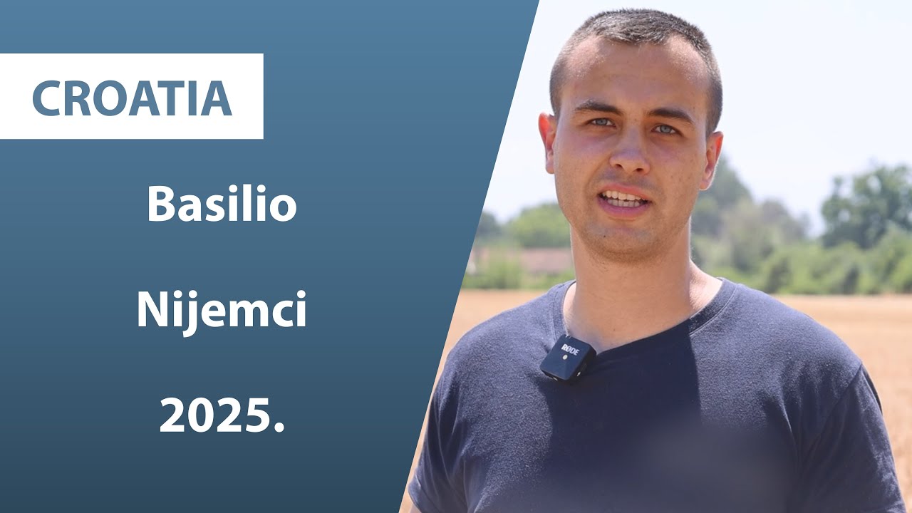 PRVI OTKOSI, BASILIO PŠENICA 2025. | Axereal Croatia