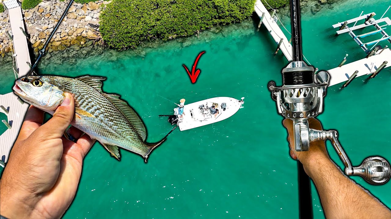 Live Croakers Are Florida's BEST Bait For MONSTER Snook...