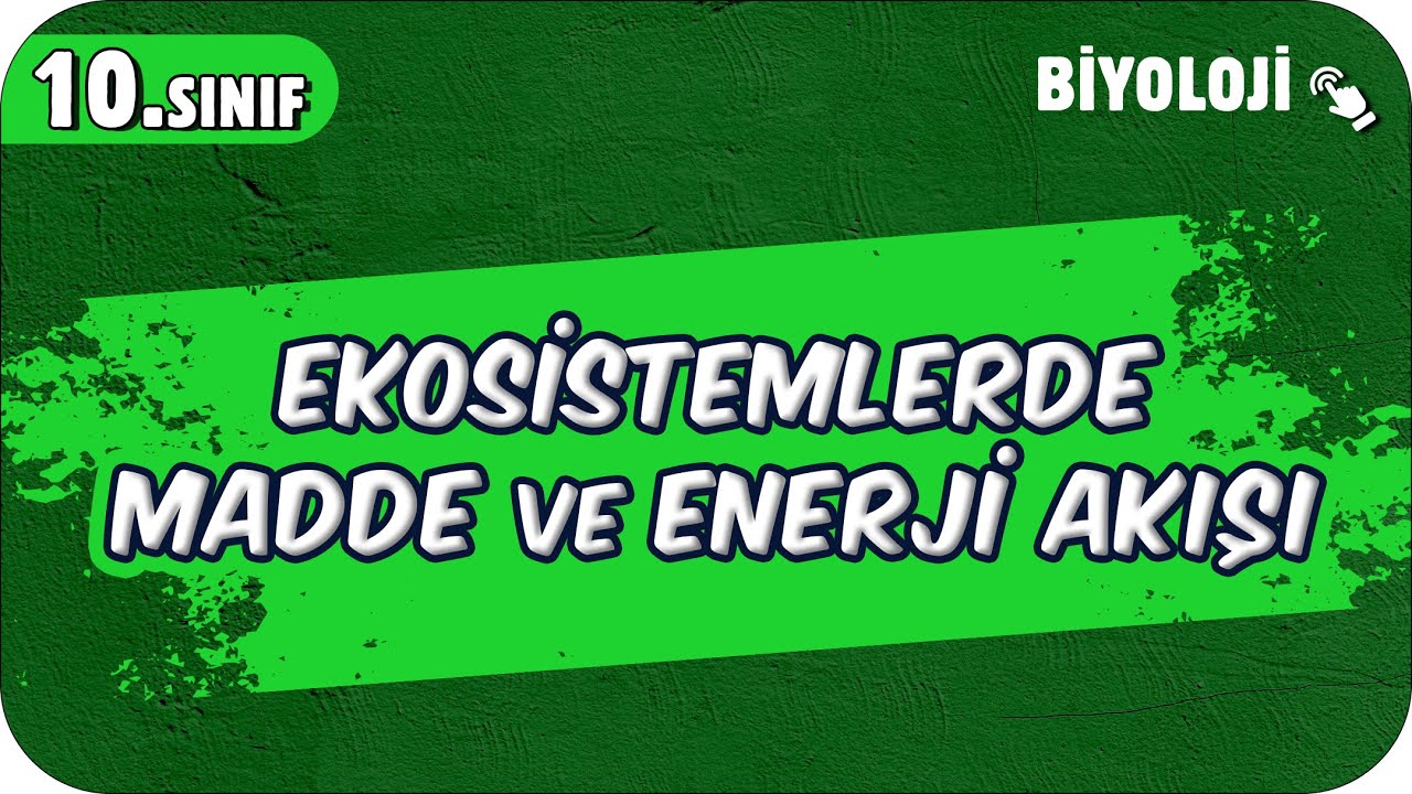 Ekosistemlerde Madde ve Enerji Akışı | 10.Sınıf Biyoloji #2025