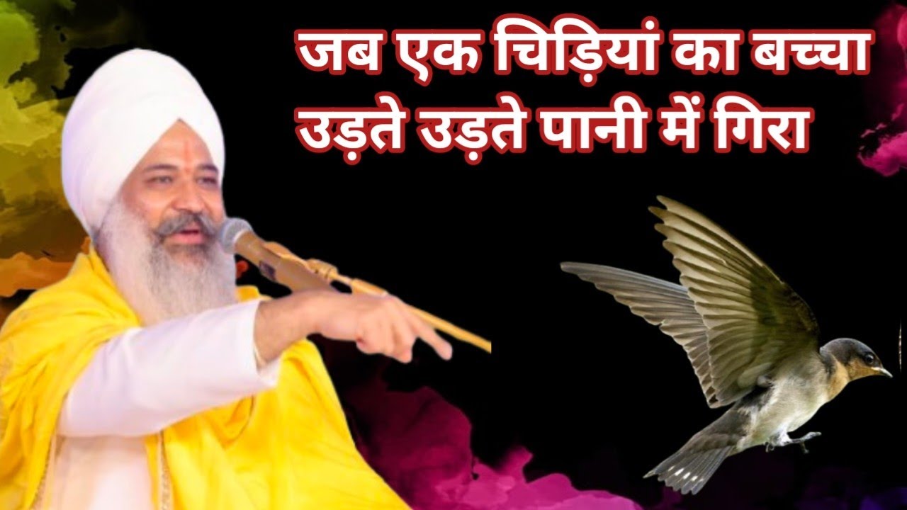 जब एक चिड़ियां का बच्चा उड़ते उड़ते.. संत त्रिलोचन दर्शन दस जी 🙏🙏 #shabadkirtan #satsang #kirtan