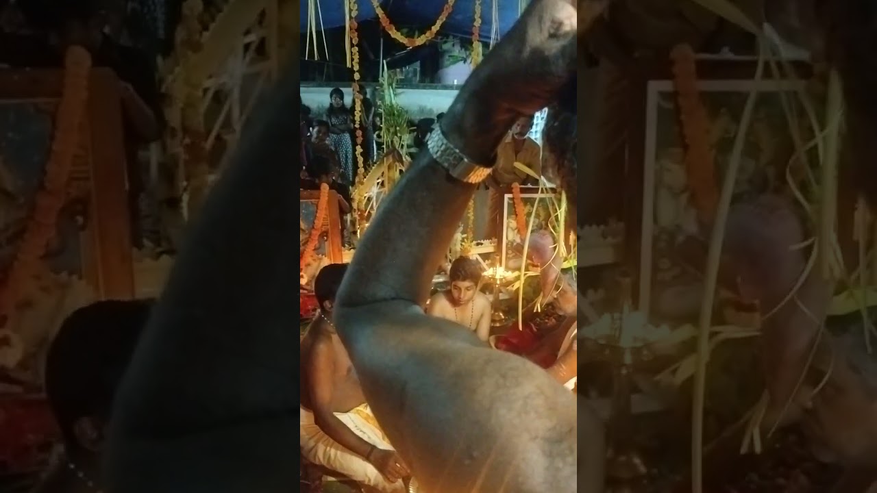 സ്വാമി ശരണം 