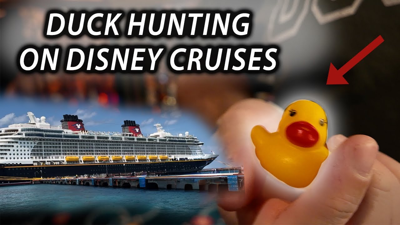 Duck Hunting on the Disney Treasure | Tips for Finding Hidden Ducks