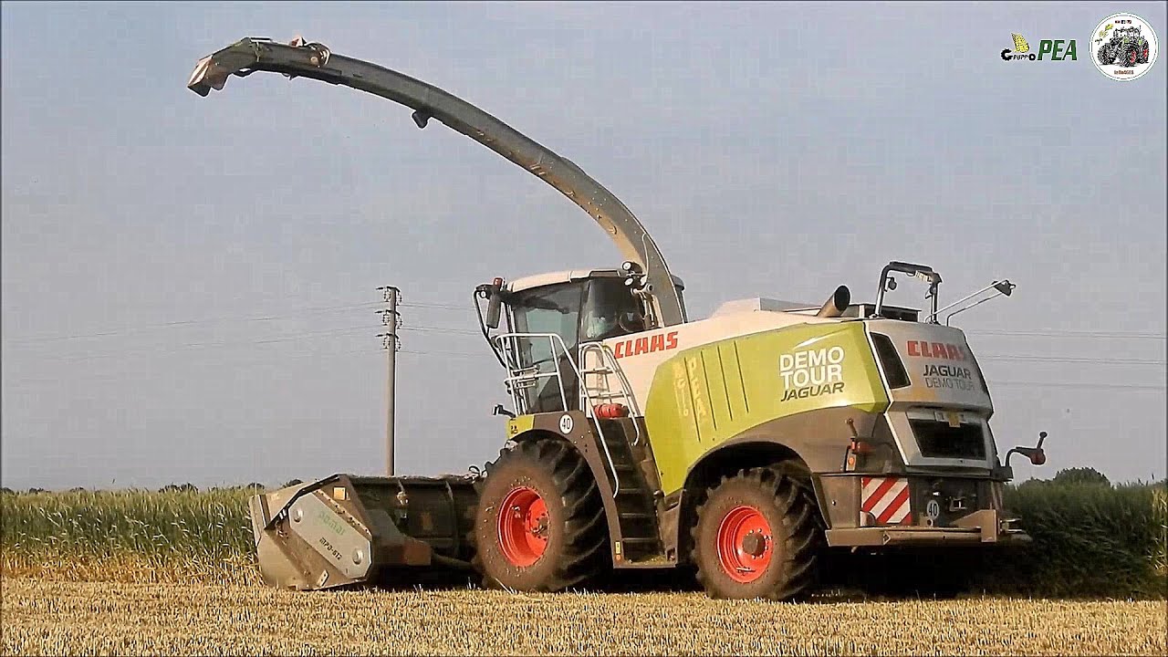Claas Jaguar 980 (497) DEMO TOUR + Domai MPD 612 - Gruppo PEA - Trinciatura frumento 2022
