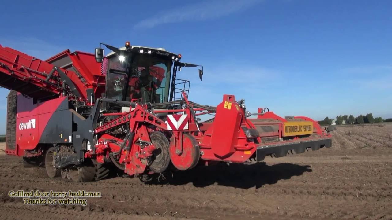 Aardappels Rooien 2016 - Dewulf Kwatro - potato harvester machine  | Zeebiesweg, Biddinghuizen (NL)