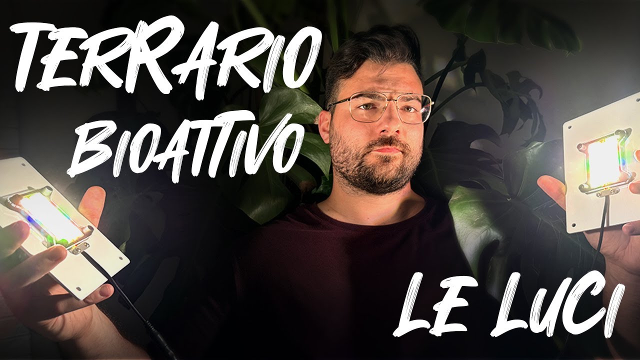 Le LUCI nel TERRARIO BIOATTIVO!!