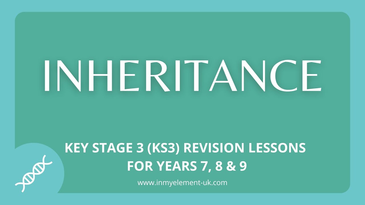 Inheritance Explained (DNA, Chromosones, Genes) but why we are all different - (Years 7, 8 & 9)