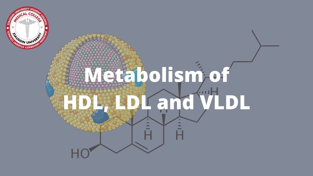Metabolism of HDL, VLDL & LDL