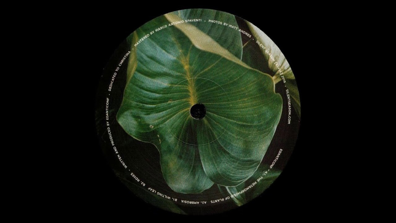 Edanticonf - Wilting Leaf [SSV16]