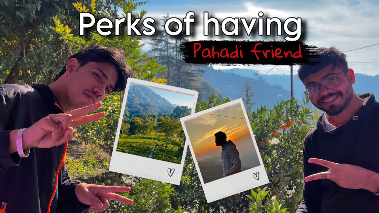 LOHAGHAT || hidden gem || desi in pahad 2 ||abbott mount || koli dhek lake || tea garden champawat
