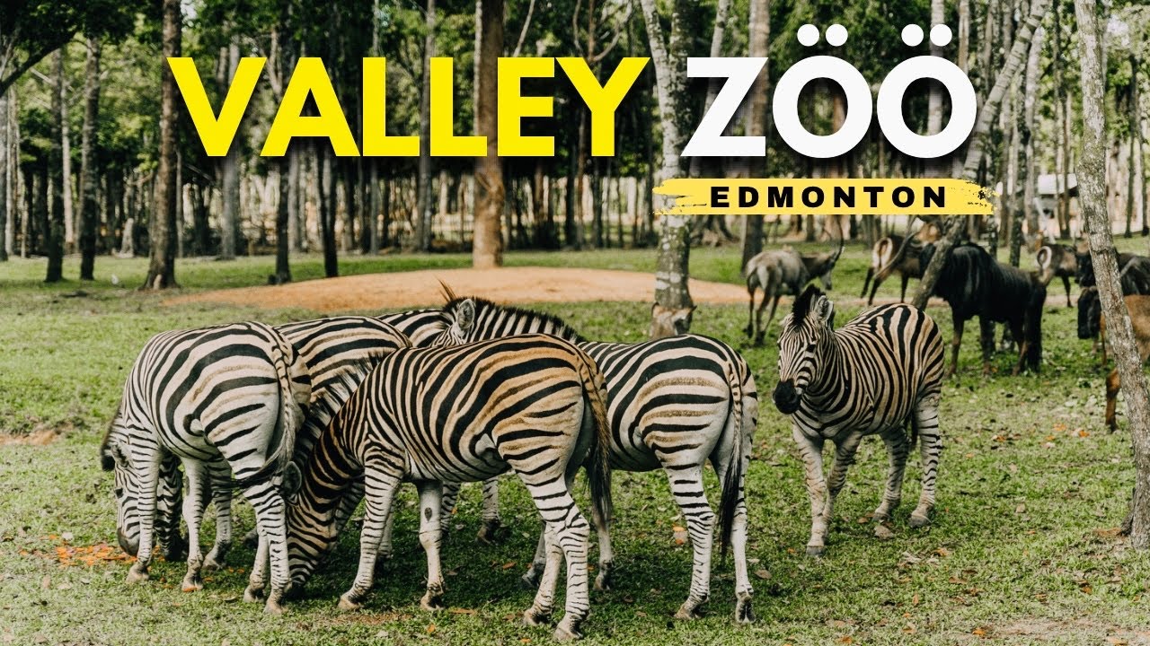 🦁 Valley Zoo Edmonton Tour 🇨🇦 | Must-Visit Wildlife Spot in Alberta 2025! 🐾 Fun for Families & Kids