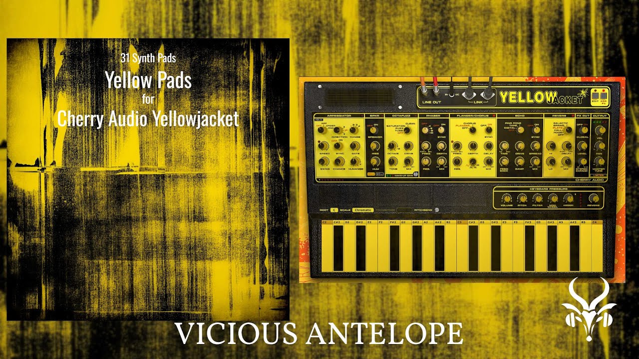 Cherry Audio Yellowjacket Presets - Vicious Antelope - Yellow Pads