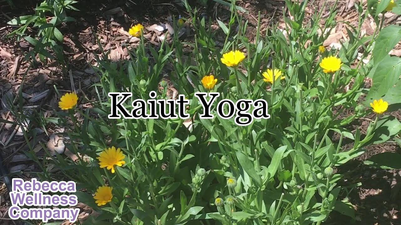 Introduction to Kaiut Yoga: Yoga for the Joints, Mobility, and Aging