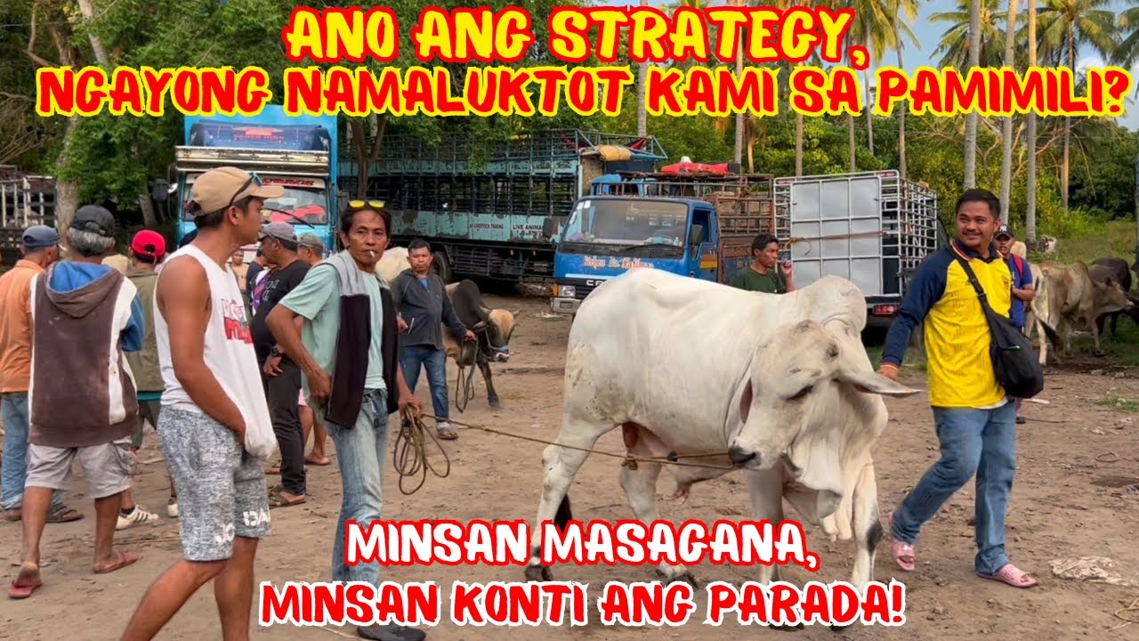 MINSAN MASAGANA, MINSAN KONTI ANG PARADA! | ANO ANG STRATEGY, NGAYONG NAMALUKTOT KAMI SA PAMIMILI?
