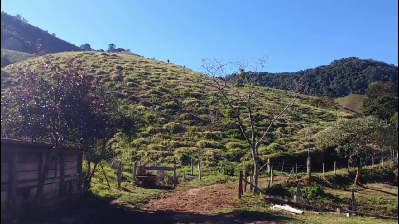 25 alqueires em Maria da Fé/MG