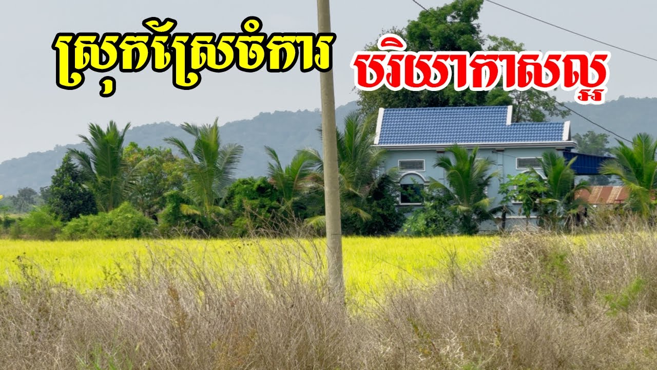 ស្រុកស្រែចំការរស់នៅបែបធម្មតាធម្មជាតិស្ងាប់ស្ងាត់បរិយាកាសល្អមិនដូចជារស់នៅទីក្រុង