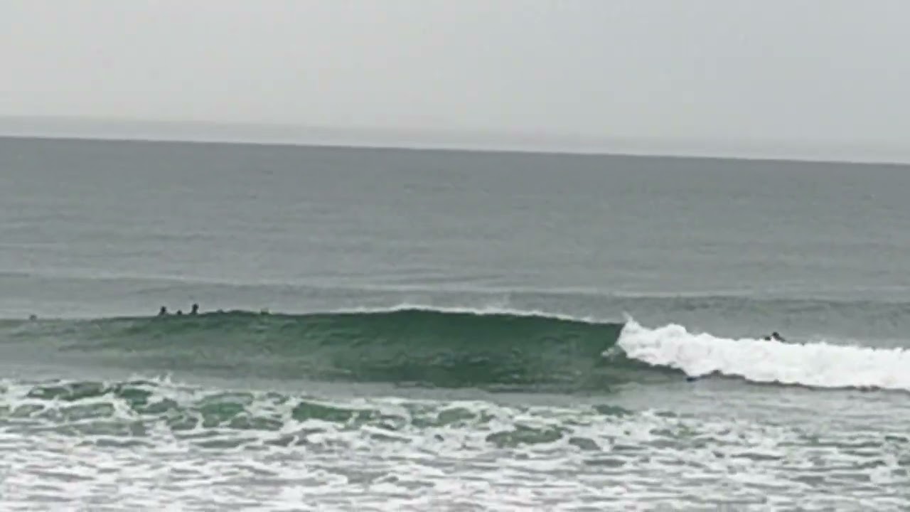 Surfs up!  St Clair Esplanade, Dunedin, NZ