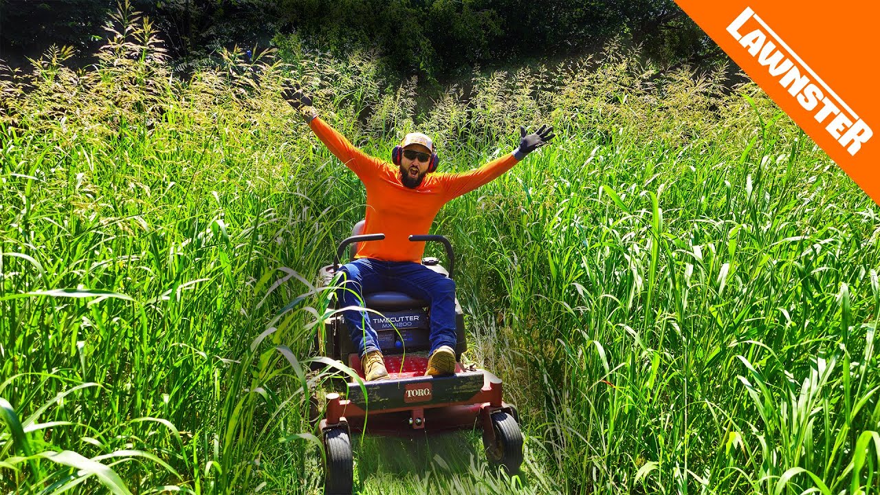We MOWED the WORST LAWN We've Ever Seen in 20 YEARS for FREE!