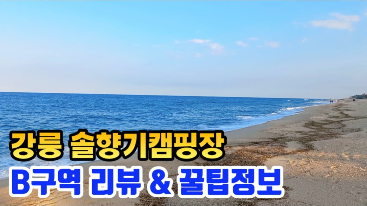 📢최신정보! 강릉 연곡솔향기캠핑장 B구역 데크 사이트 리뷰ㅣ🔥연곡솔향기캠핑장 명당ㅣ✅강원도 오션뷰 캠핑장 추천ㅣ🚀강릉여행지 가볼만한곳 명소 소개ㅣ📊국내 캠핑성지 대형캠핑장ㅣ바다캠핑