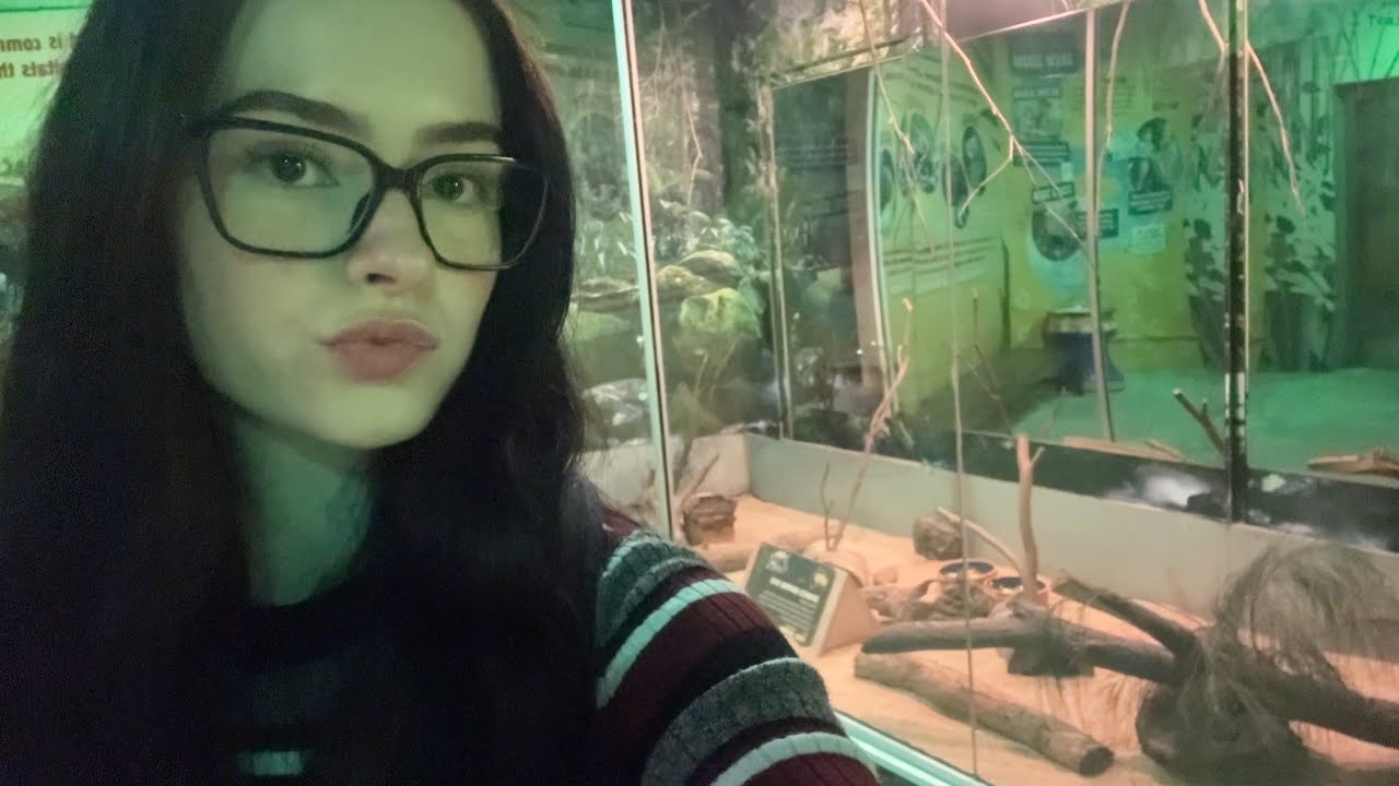 ASMR at the zoo (wild life sydney walkthrough) 🦘