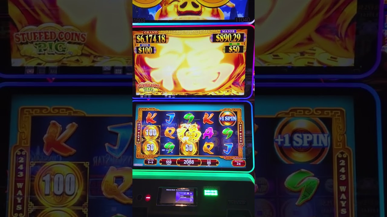 STUFFED COIN PIG!!🤑🎰💰 Bonustime 🔥 🔥 #slot #slotscasinogames #casino #slotmachine #slots #gambling 