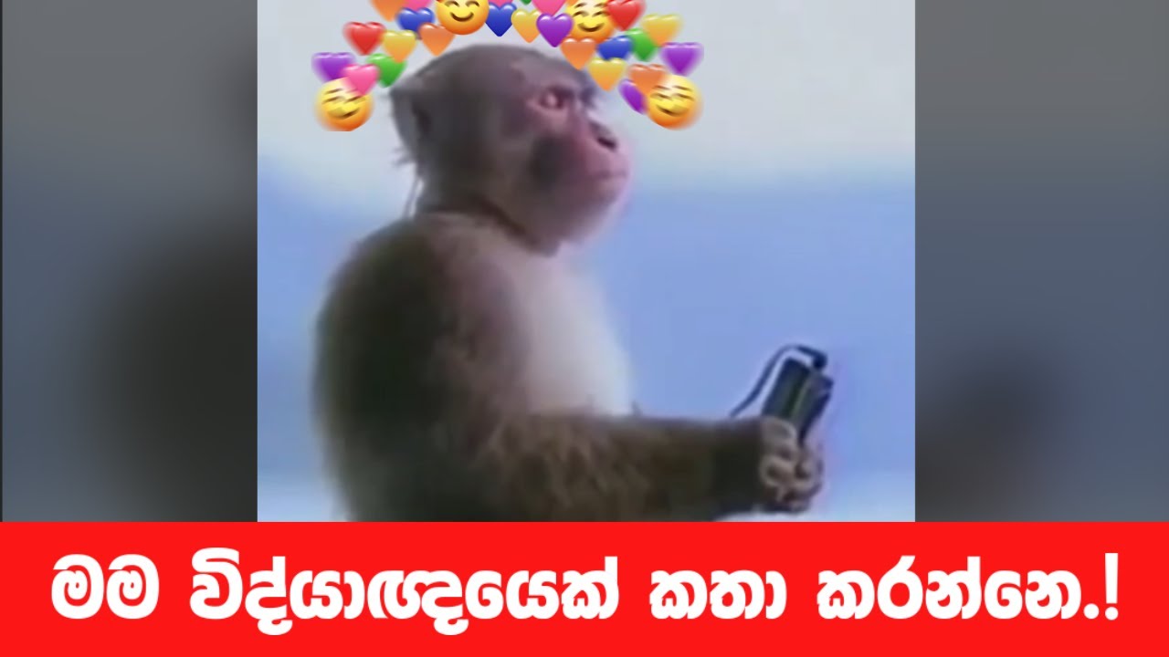 මම විද්යාඥයෙක් කතා කරන්නෙ..!! prank call