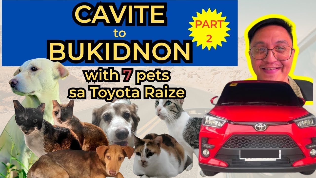 Part 2 - Cavite to Bukidnon via Toyota Raize with 4 Cats & 3 Dogs! | Pet-Friendly Travel PH