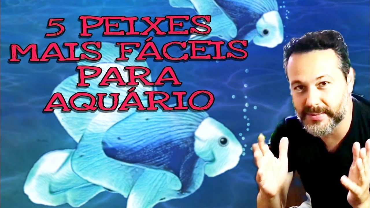 Os 5 peixes mais resistentes para aquarista iniciante
