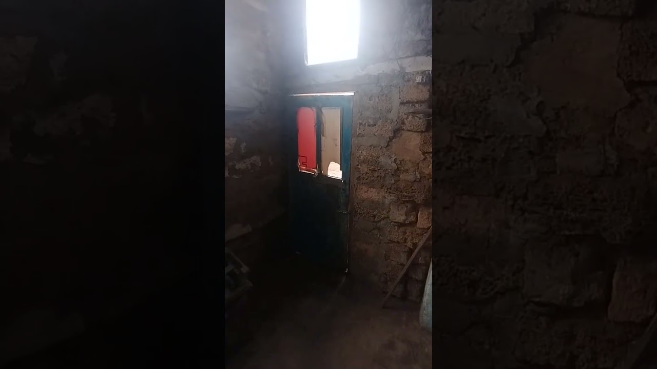 1 января 2026 г.