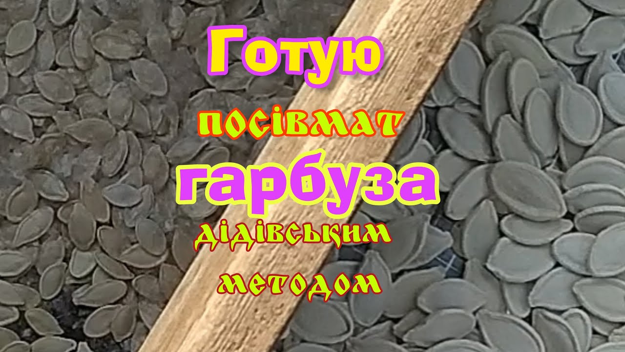 Найпростіший спосіб відкалібрувати гарбузове насіння .