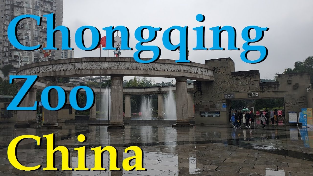 Chongqing Zoo China