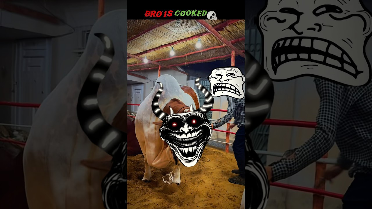 Instant Regret 💀 | Bull Madness 😭 #trollface #edit #shorts #bullrush #cow  #eid #bakra #animals