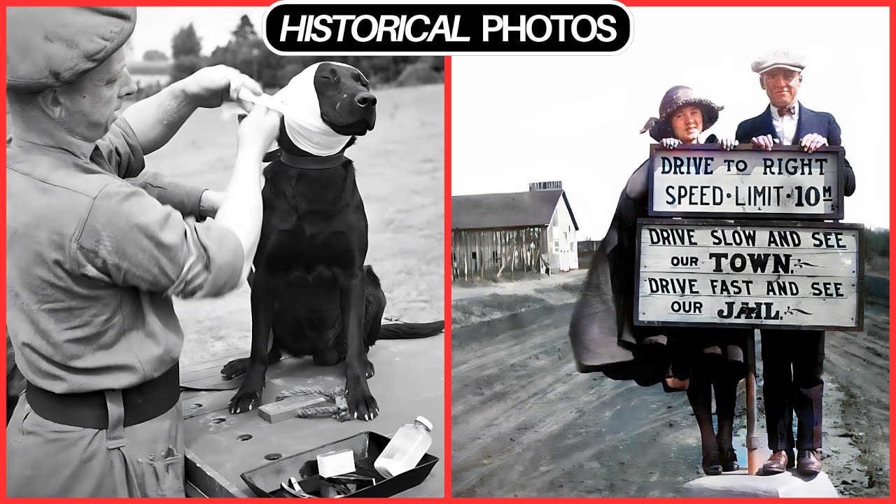 42 Stunning Historical Photos: Interesting and Astounding Facts from History in Photographs ‼️😮