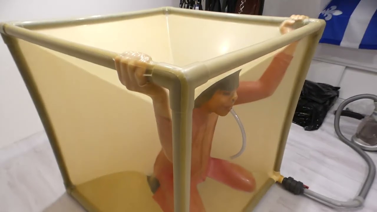 The cube # latex 