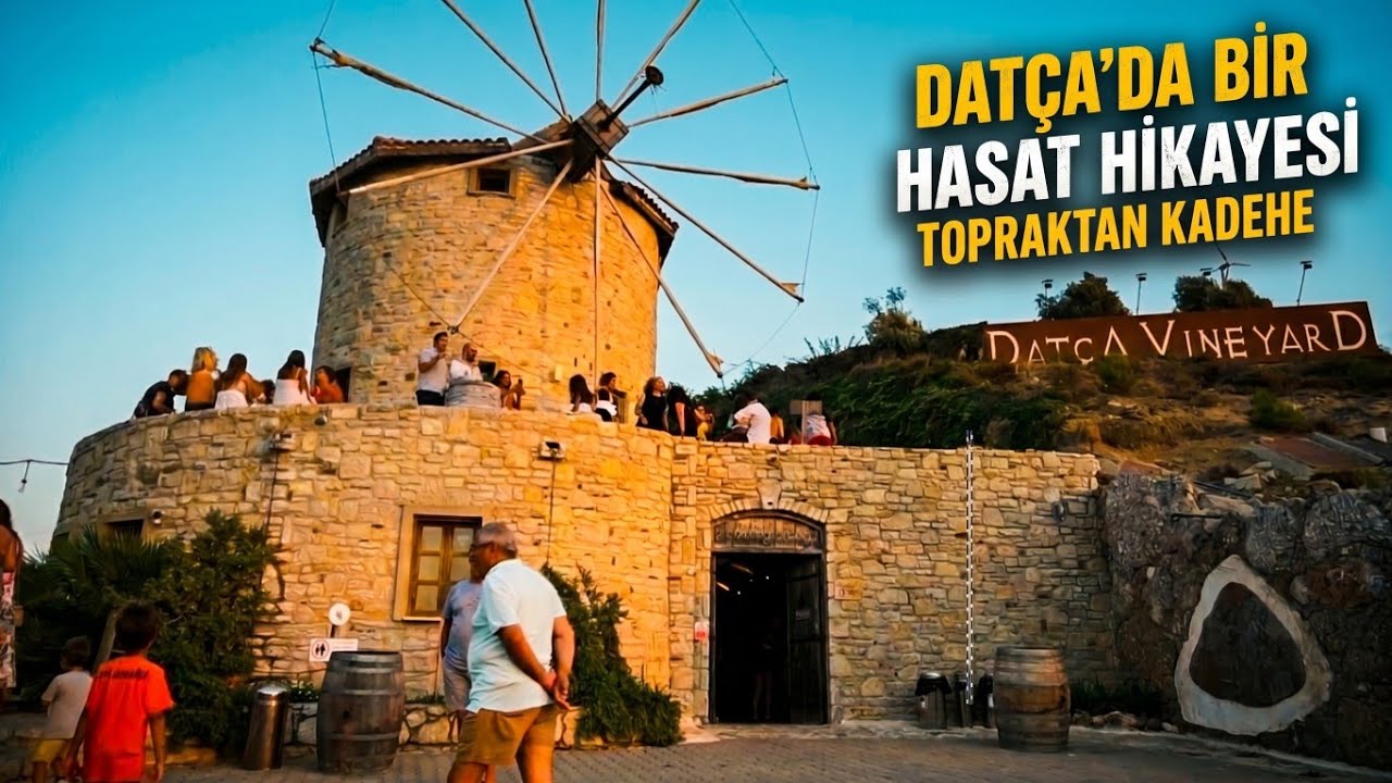 KIZLAN DEĞİRMENLERİ - DATÇA VİNEYARD I KIZLAN MILLS - DATÇA VINEYARD