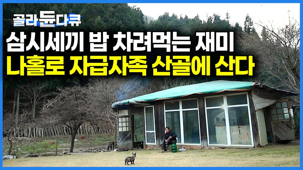 고난했던 도시 생활 뒤로한 채 산으로 들어온 남자ㅣ하루 세끼 밥만 차려도 하루가 다간다ㅣ나홀로 자급자족 산골 하루ㅣ한국기행ㅣ#골라듄다큐