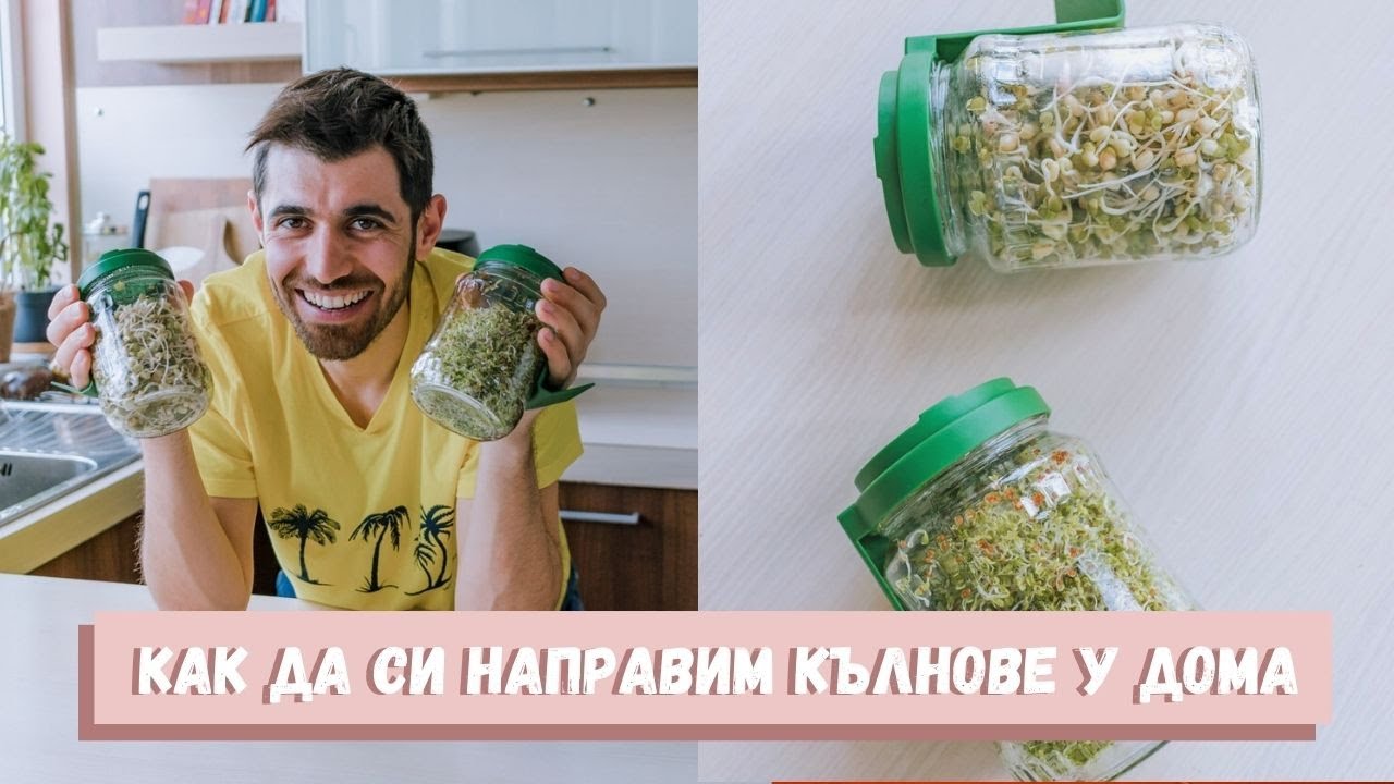 Как да си отгледаме кълнове в домашни условия 🌱 | Видео урок от Живко