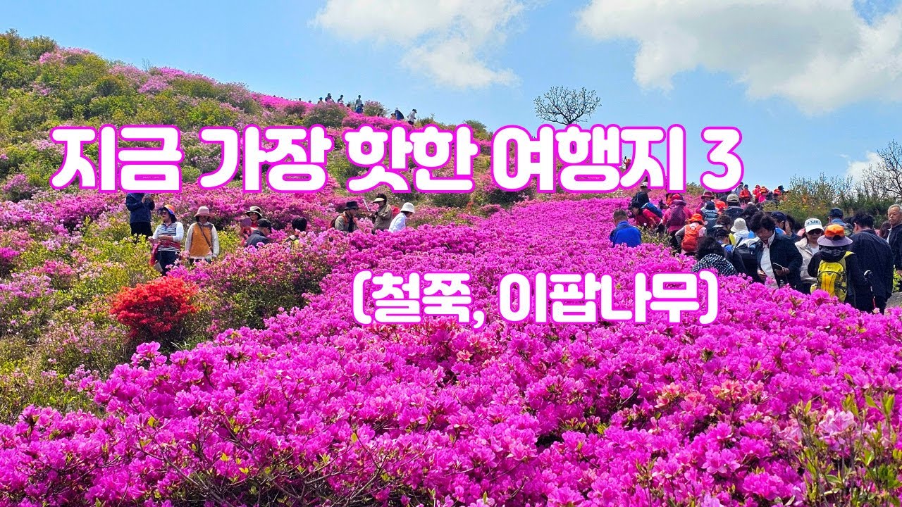 지금 가장 핫한 여행지, 발품을 팔았습니다.