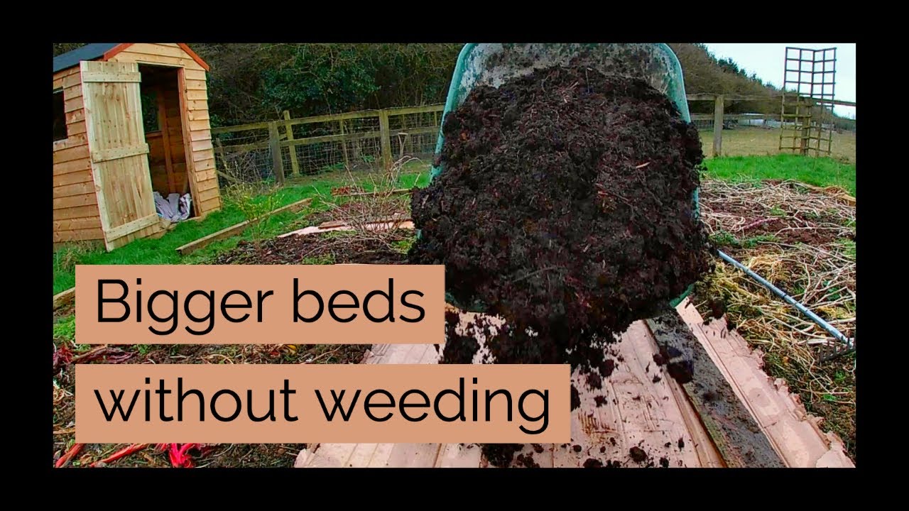Sheet mulching with cardboard | Vegetable Garden