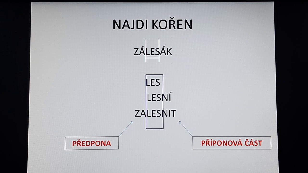 Stavba slova