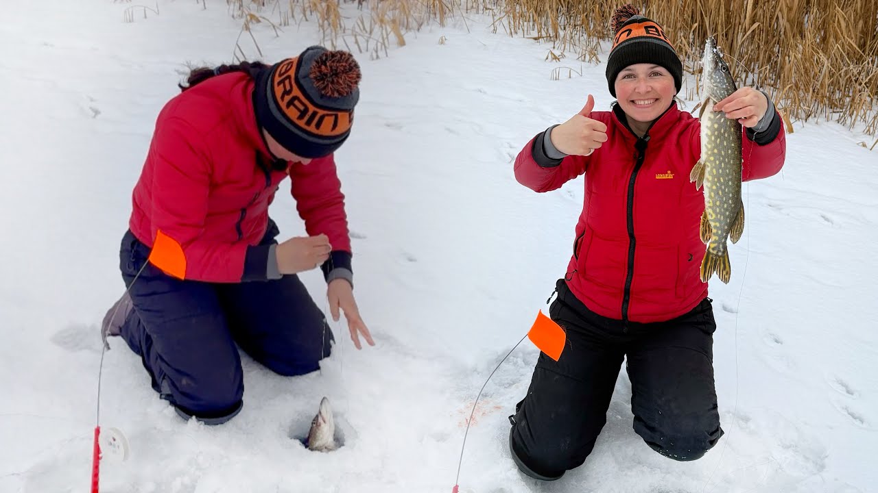 Риболовля на ДИКАРІ🤠 Неприборкана хижачка атакує🐊