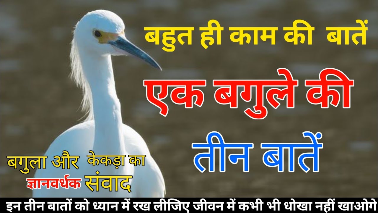 बगुले की तीन बातें | यह तीन बातों को ध्यान में रख लीजिए जीवन में कभी भी धोखा नहीं खाओगे |