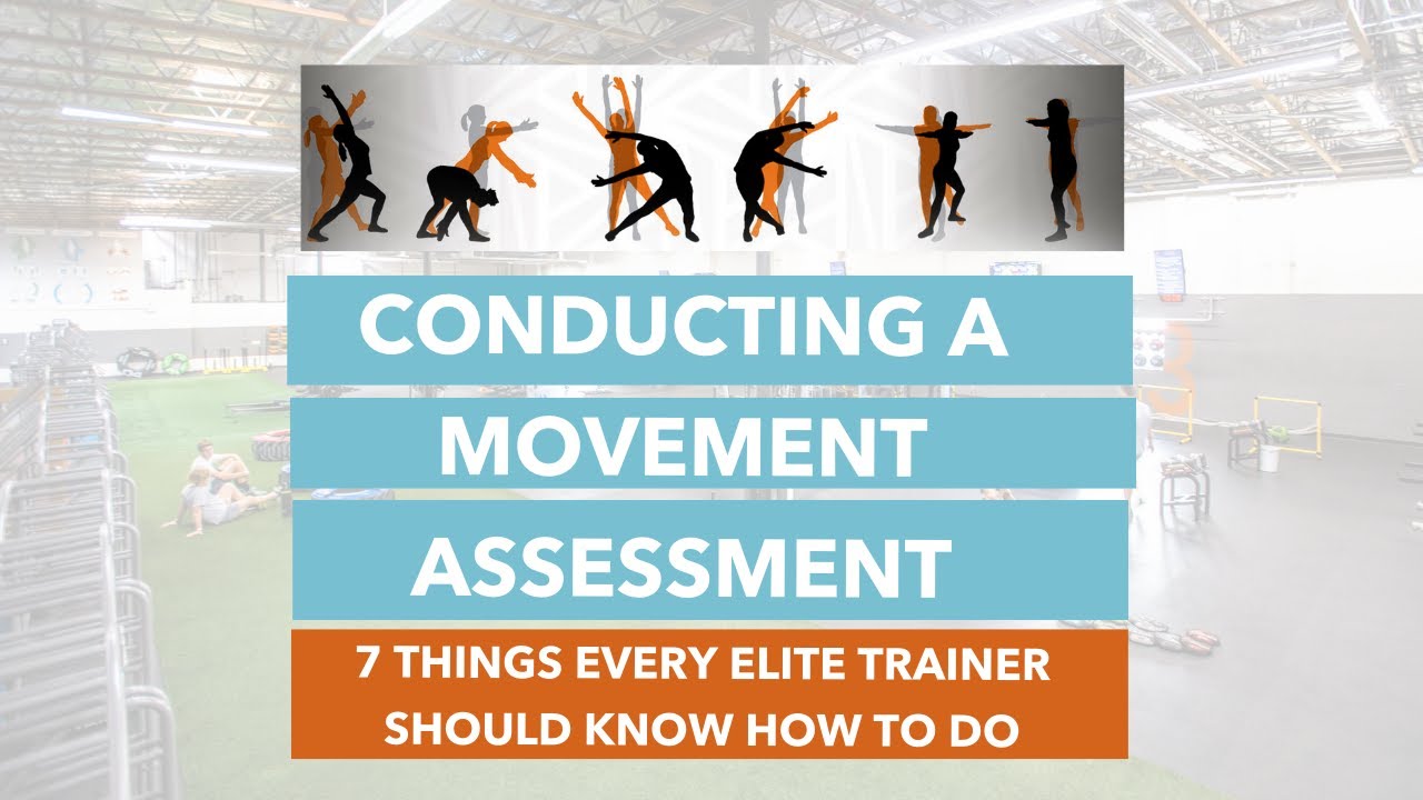 How to Conduct A Movement Assessment | 7 Things Every Elite Trainers Should Know How to Do Part 1