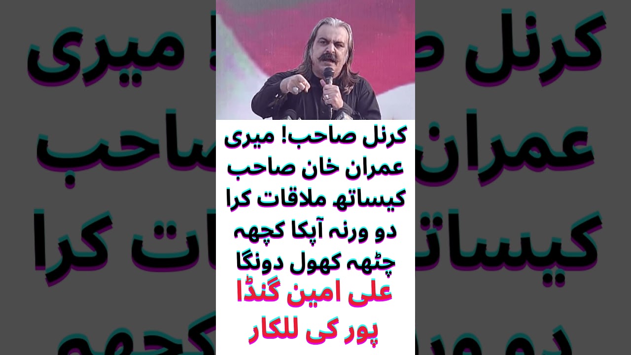 Let me meet with Imran Khan, Ali Ameen Gandapur speech, PTI latest update,   #pti #ptiworkers