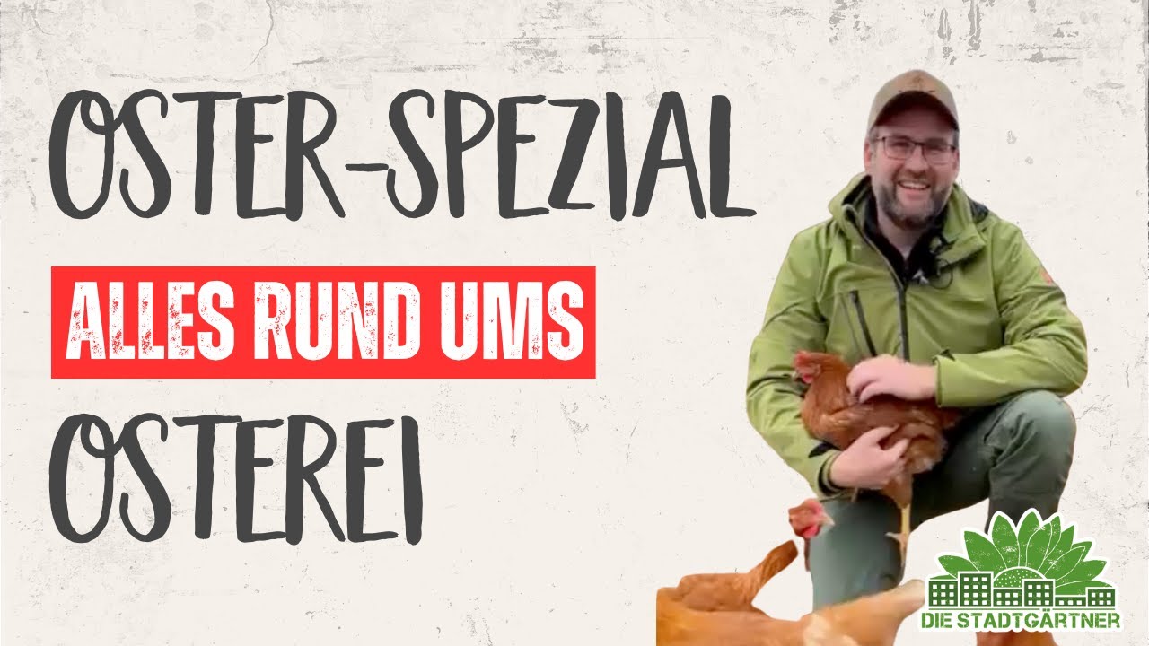 Alles über Eier   Oster Sepzial mit Lars vom Biohof Hümme