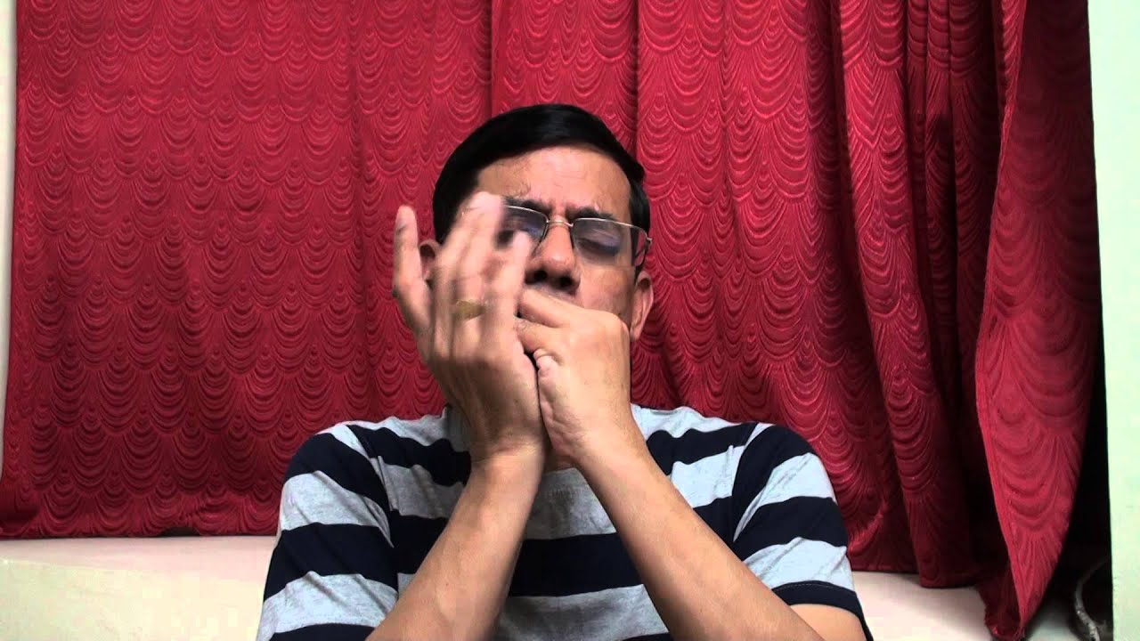 Hai  Apna Dil to Awara on Harmonica