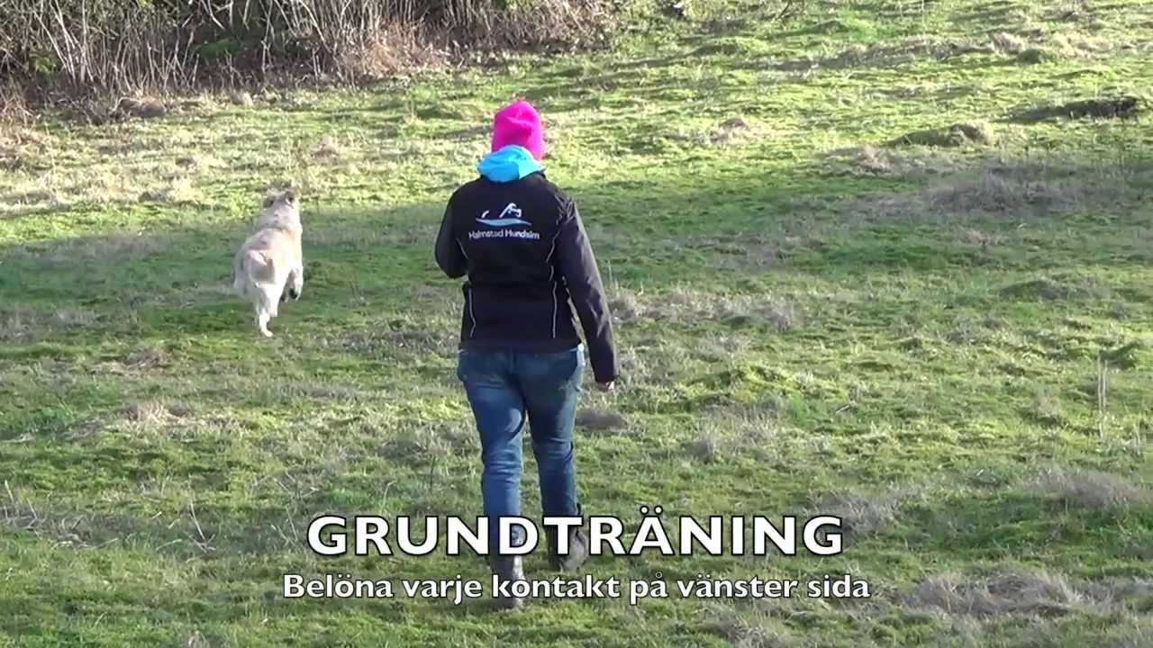 FRITT FÖLJ - inlärning på mitt sätt